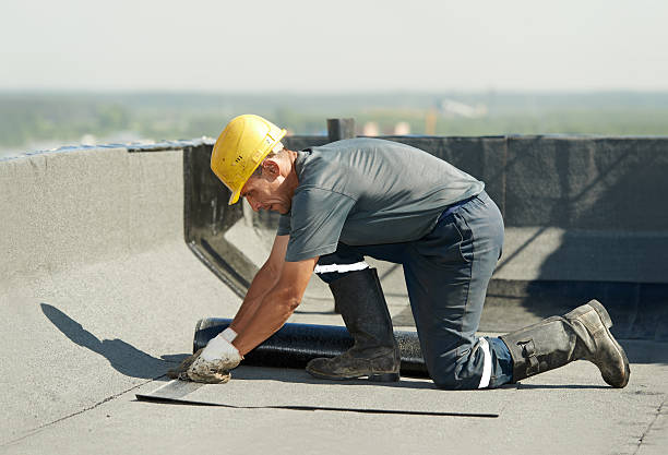Best Best Insulation Companies  in Phenix City, AL