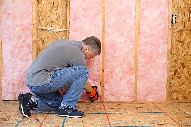 Best Insulation Inspection Services  in Phenix City, AL
