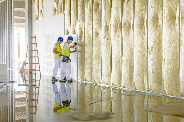 Best Insulation Contractor Near Me  in Phenix City, AL